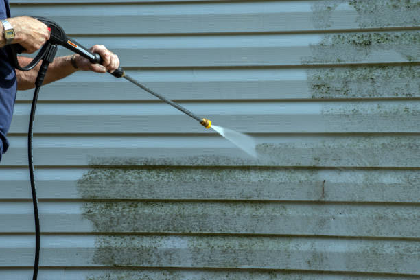 Best Building Exterior Washing  in Forestville, MD